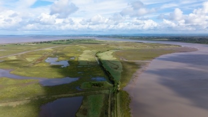 Steart Marshes